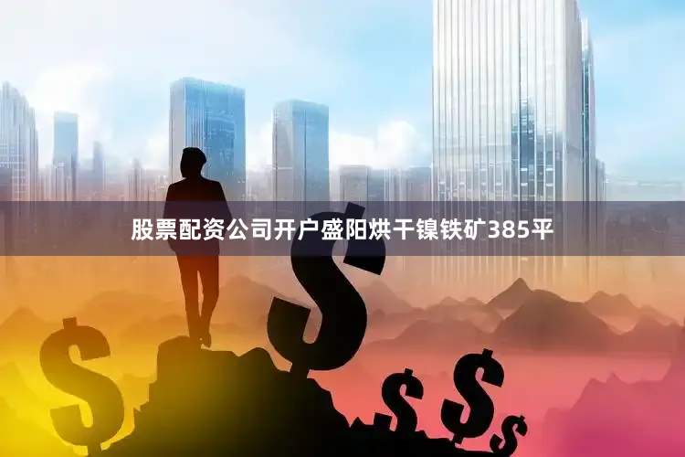 股票配资公司开户盛阳烘干镍铁矿385平