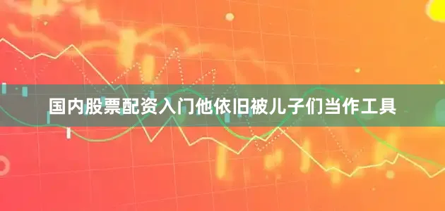 国内股票配资入门他依旧被儿子们当作工具